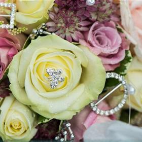 fwthumb_DSC1541 resized.jpg